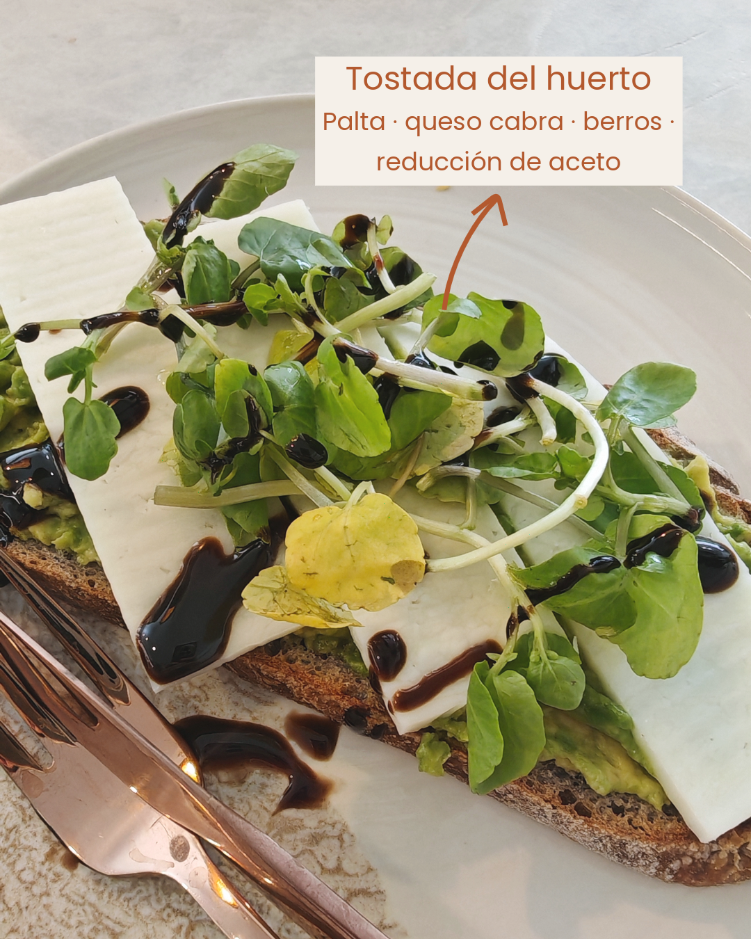 Tostada del huerto — palta, queso cabra, berros